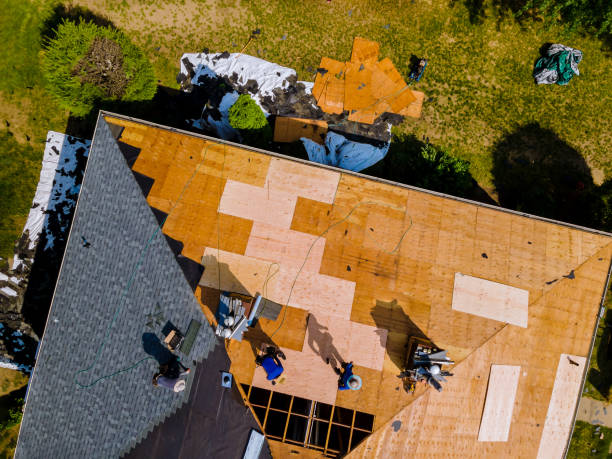 Best Roof Restoration Services  in Claypool Hill, VA